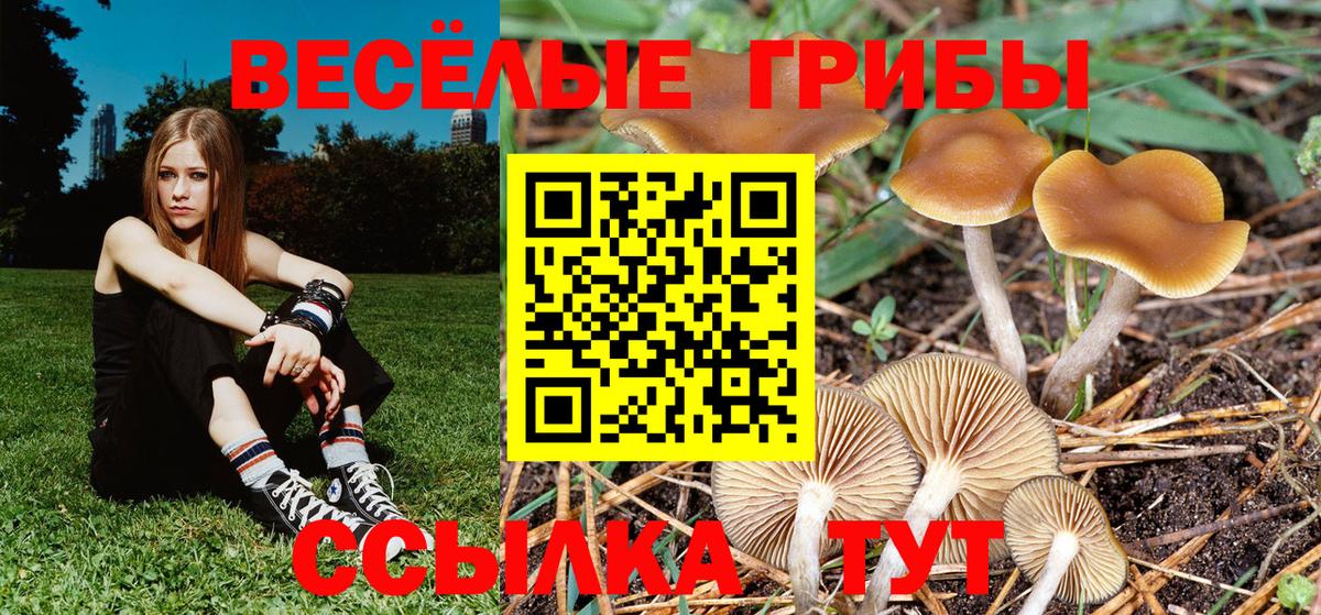 Галлюциногенные грибы Magic Shrooms  даркнет сайт  Когалым  Вход с VPN 
