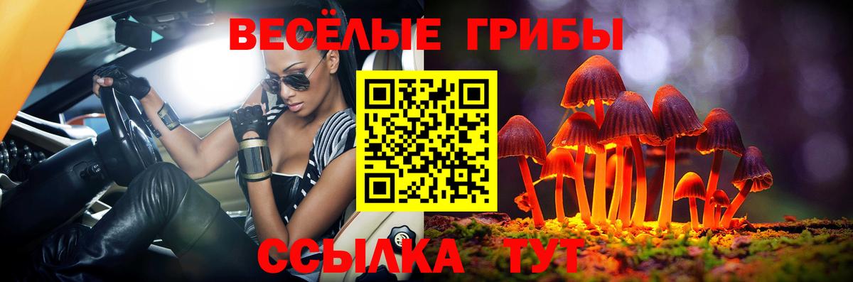 Галлюциногенные грибы прущие грибы Когалым